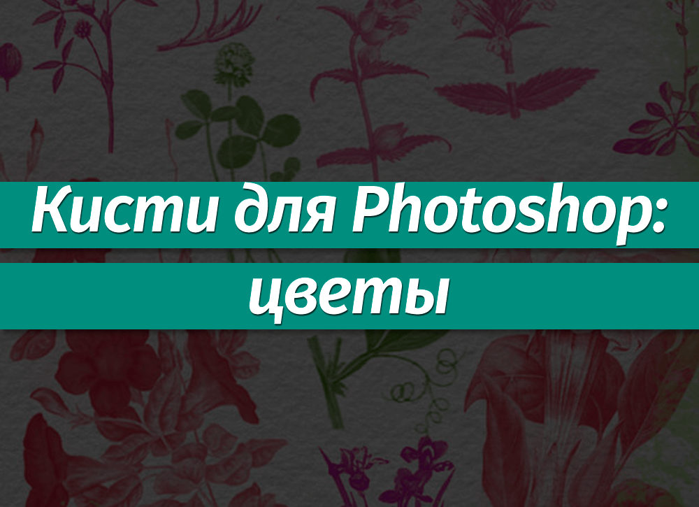 Наборы кистей для Фотошопа: цветы