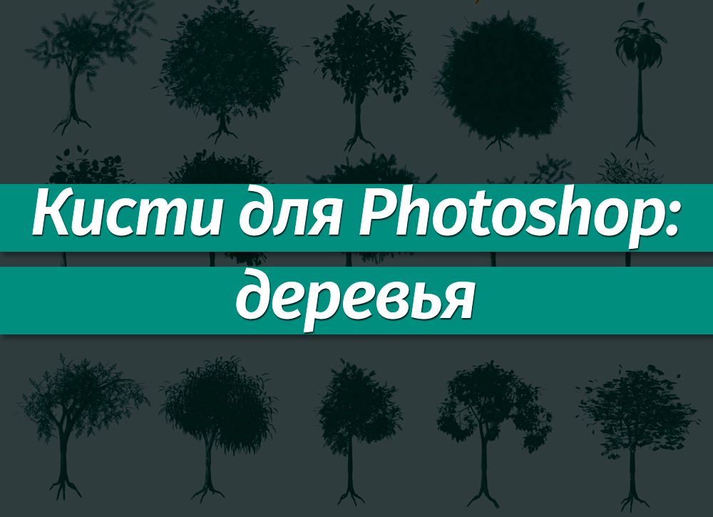 Как перенести кисти из фотошопа в фотошоп