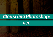 Фоны для Фотошопа: Лес Фоны для Фотошопа: Лес