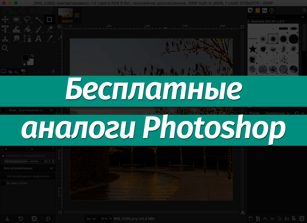 Фотошоп аналоги. Бесплатные аналоги фотошопа. Аналоги фотошопа. Бесплатный аналог программ адоб. Бесплатные аналоги Adobe.