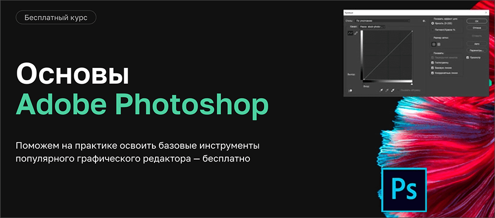 Курс Основы Adobe Photoshop от Нетологии