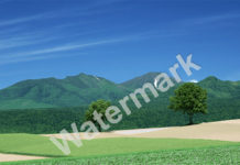 Как использовать водяные знаки для защиты фото от копирования Водяной знак