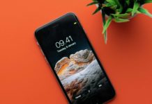 Оригинальные картинки на смартфон в тематике «Животные»