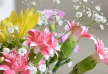 Цветочное Волшебство: Как Цветы Воплощают Красоту в Кадре