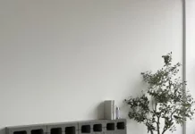 Как выбрать фотостудию для съемки: ключевые аспекты и современные тенденции