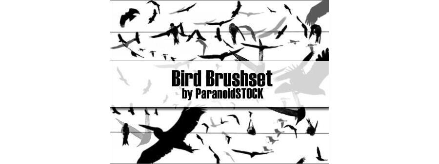 Кисти с различными летящими птицами