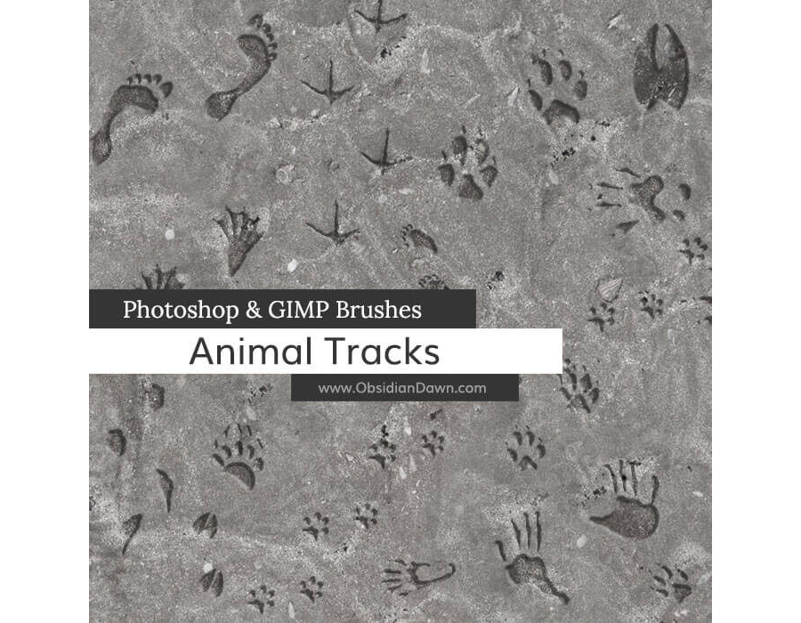 Кисти со следами животных и человека