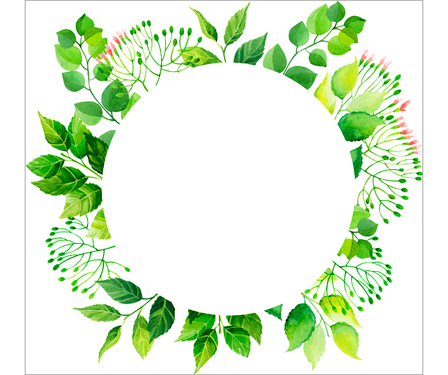 Круглая рамка из зеленых листьев
