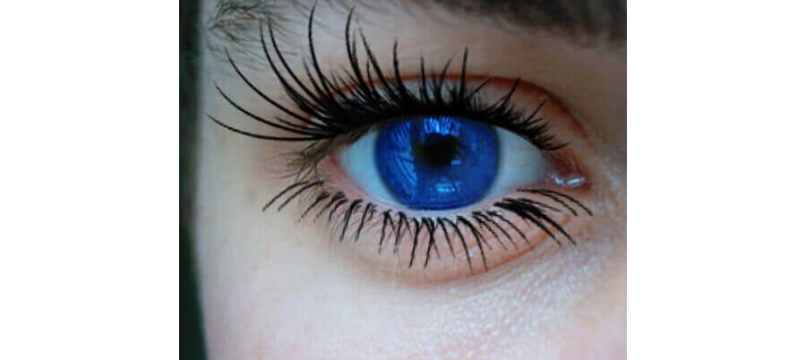 Кисти с выразительными ресницами