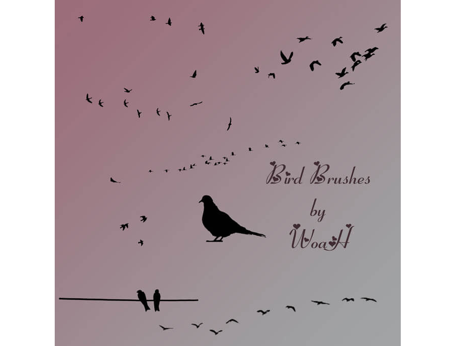 Кисти для рисования птиц