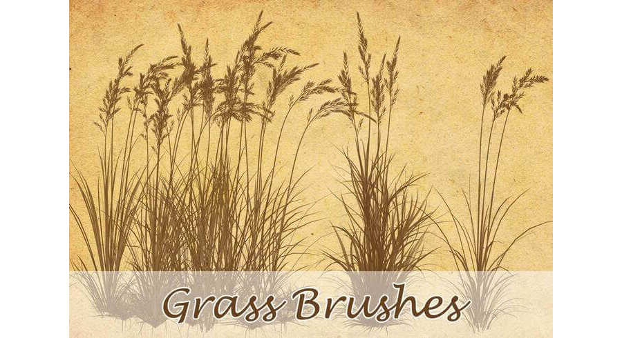 Кисти с полевыми травами