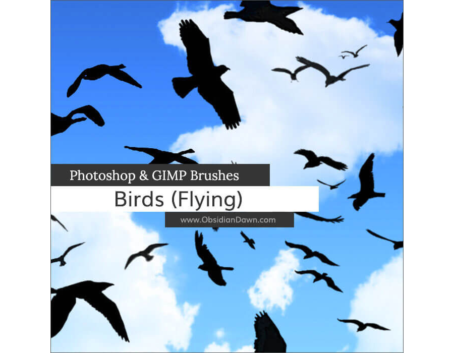 Кисти с летающими птицами