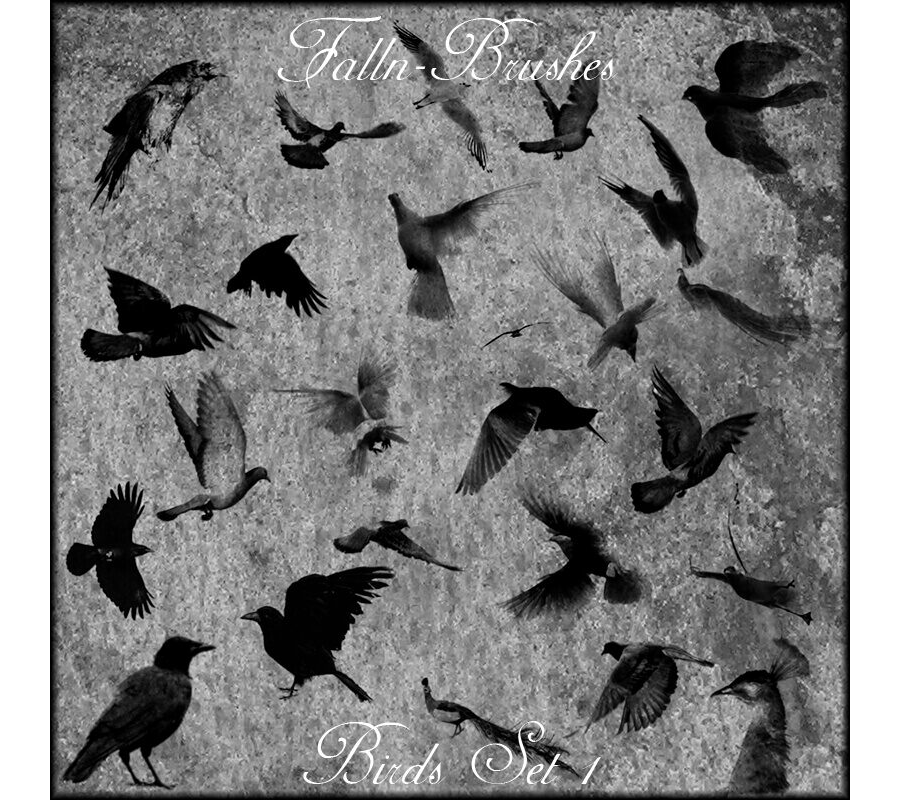 Кисти для реалистичными птицами