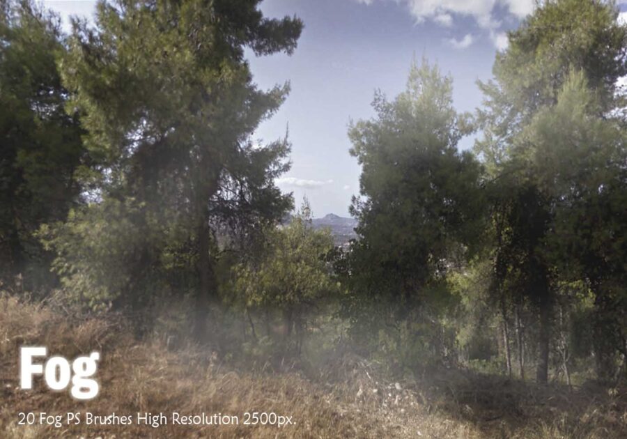 20 качественных кистей с туманом