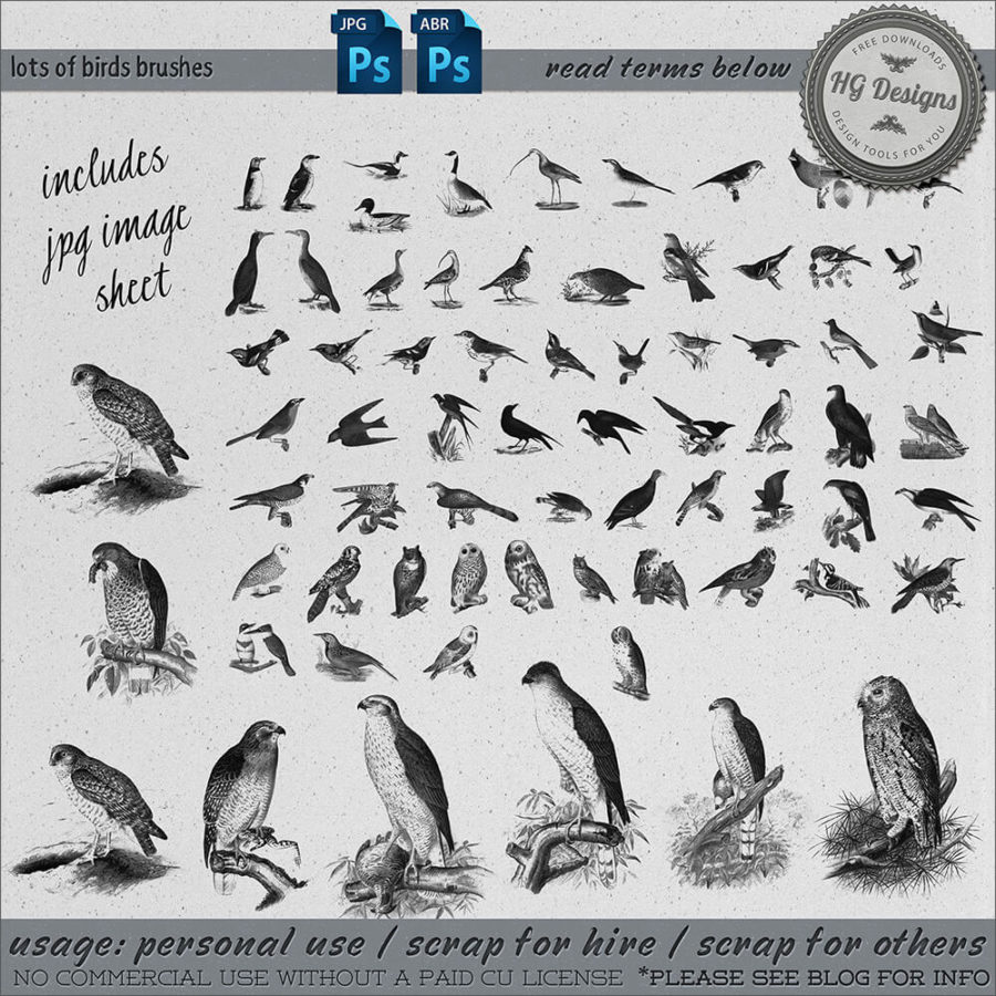 Кисти для рисования разных птиц